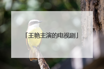 王艳主演的电视剧