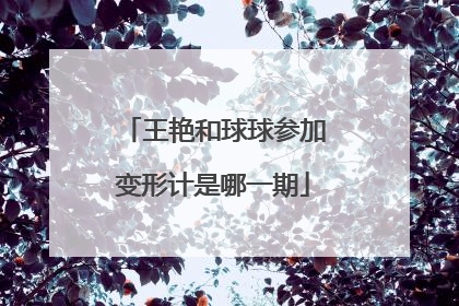 王艳和球球参加变形计是哪一期