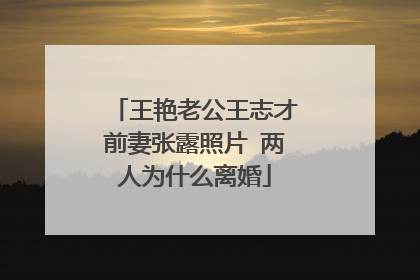 王艳老公王志才前妻张露照片 两人为什么离婚