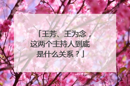 王芳、王为念，这两个主持人到底是什么关系？