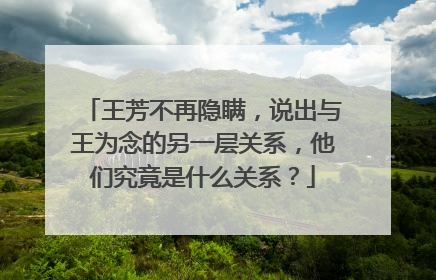 王芳不再隐瞒，说出与王为念的另一层关系，他们究竟是什么关系？