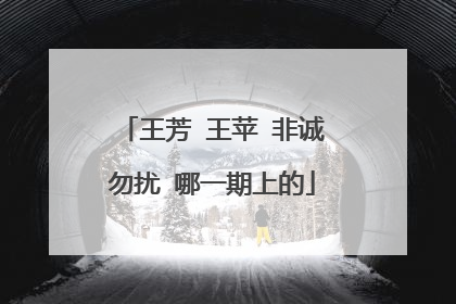王芳 王苹 非诚勿扰 哪一期上的