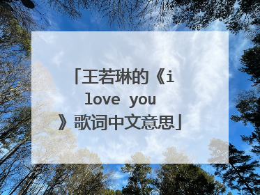 王若琳的《i love you》歌词中文意思