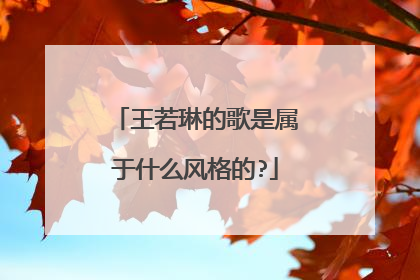 王若琳的歌是属于什么风格的?