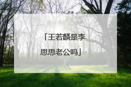 王若麟是李思思老公吗