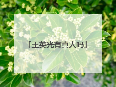 王英光有真人吗