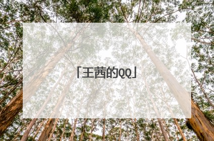 王茜的QQ