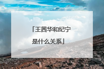 王茜华和纪宁是什么关系