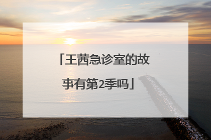 王茜急诊室的故事有第2季吗