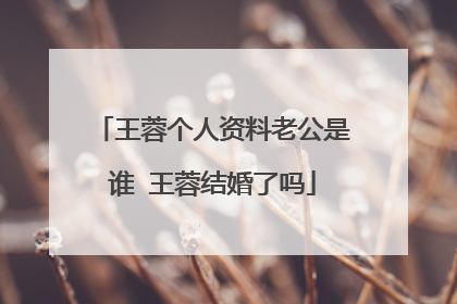 王蓉个人资料老公是谁 王蓉结婚了吗