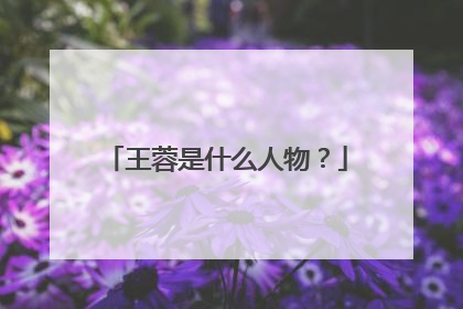 王蓉是什么人物?