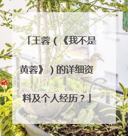 王蓉(《我不是黄蓉》)的详细资料及个人经历?