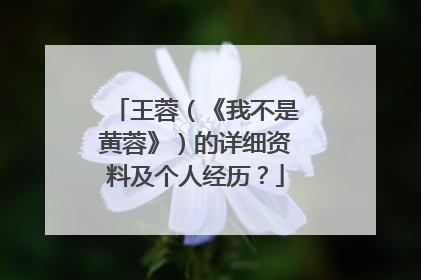 王蓉（《我不是黄蓉》）的详细资料及个人经历？