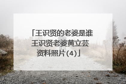 王识贤的老婆是谁 王识贤老婆黄立芸资料照片(4)