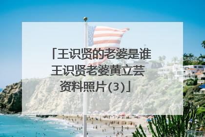 王识贤的老婆是谁 王识贤老婆黄立芸资料照片(3)