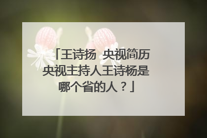 王诗扬 央视简历央视主持人王诗杨是哪个省的人?