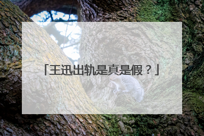 王迅出轨是真是假?