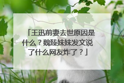 王迅前妻去世原因是什么?魏臻妹妹发文说了什么网友炸了?