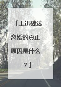 王迅魏臻离婚的真正原因是什么?