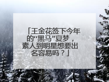 王金花签下今年的“黑马”夏梦，素人到明星想要出名容易吗？