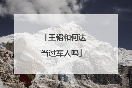 王韬和何达当过军人吗