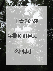 王青为冯建宇撕剧组是怎么回事