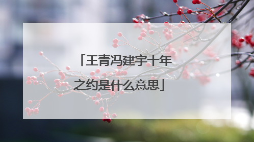 王青冯建宇十年之约是什么意思