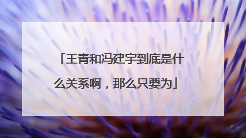王青和冯建宇到底是什么关系啊，那么只要为