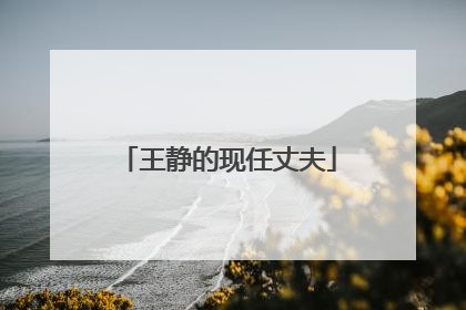 王静的现任丈夫