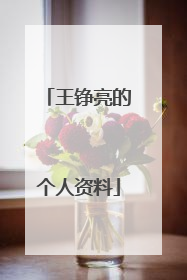 王铮亮的个人资料