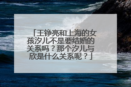 王铮亮和上海的女孩汐儿不是要结婚的关系吗？那个汐儿与欣是什么关系呢？