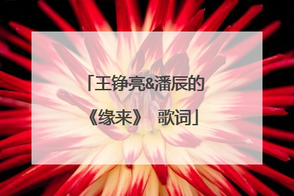 王铮亮&潘辰的《缘来》 歌词