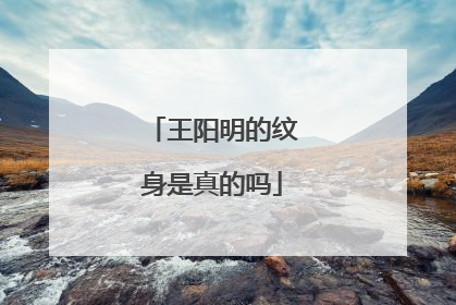 王阳明的纹身是真的吗