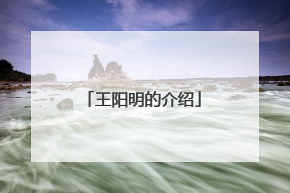 王阳明的介绍