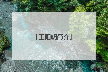 王阳明简介