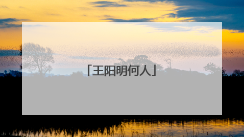 王阳明何人