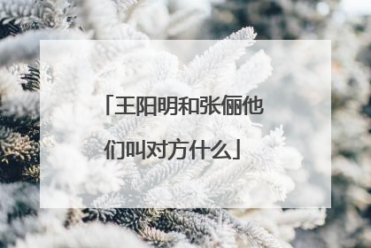 王阳明和张俪他们叫对方什么