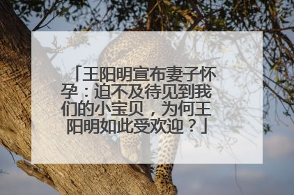 王阳明宣布妻子怀孕：迫不及待见到我们的小宝贝，为何王阳明如此受欢迎？