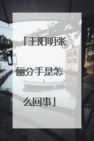 王阳明张俪分手是怎么回事