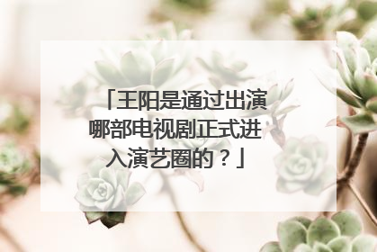 王阳是通过出演哪部电视剧正式进入演艺圈的？