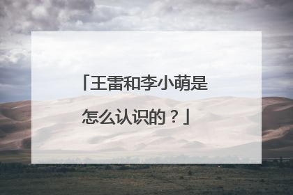 王雷和李小萌是怎么认识的？