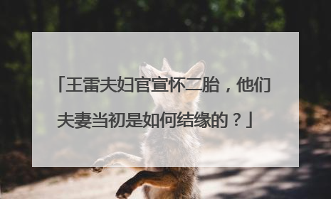 王雷夫妇官宣怀二胎，他们夫妻当初是如何结缘的？