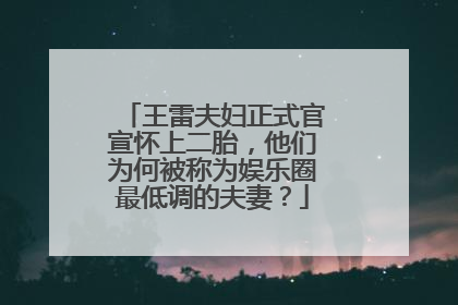 王雷夫妇正式官宣怀上二胎，他们为何被称为娱乐圈最低调的夫妻？