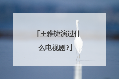 王雅捷演过什么电视剧?