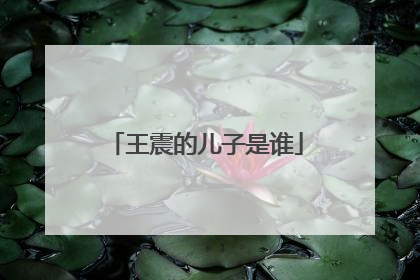 王震的儿子是谁