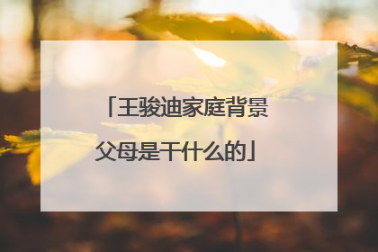 王骏迪家庭背景父母是干什么的