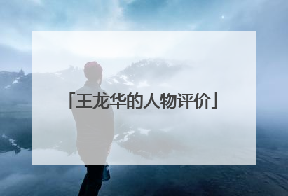 王龙华的人物评价