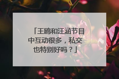 王鸥和汪涵节目中互动很多,私交也特别好吗?