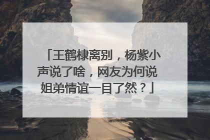 王鹤棣离别,杨紫小声说了啥,网友为何说姐弟情谊一目了然?