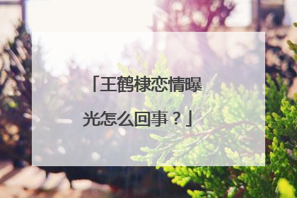 王鹤棣恋情曝光怎么回事?